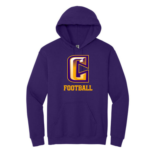 Gildan Heavy Blend Hooded Sweatshirt- Printed