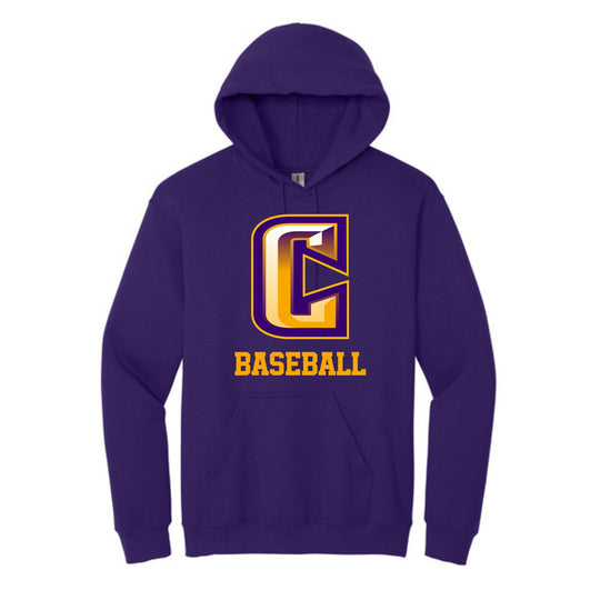 Gildan Heavy Blend Hooded Sweatshirt- Printed