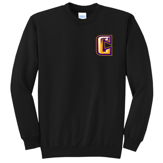 C Printed Crewneck Sweatshirt- Black