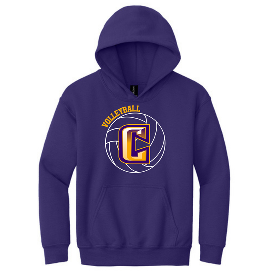 Volleyball Gildan Heavy Blend Hooded Sweatshirt- Printed